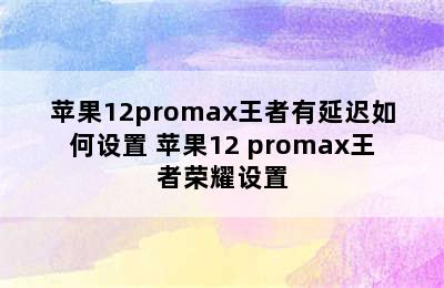 苹果12promax王者有延迟如何设置 苹果12 promax王者荣耀设置